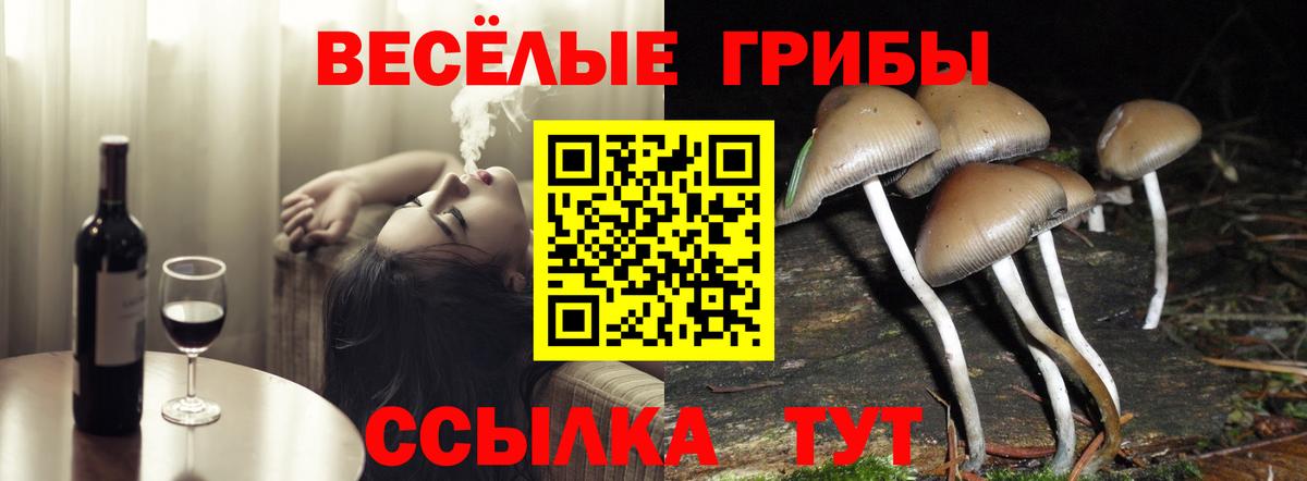 Галлюциногенные грибы Psilocybine cubensis Мариинск