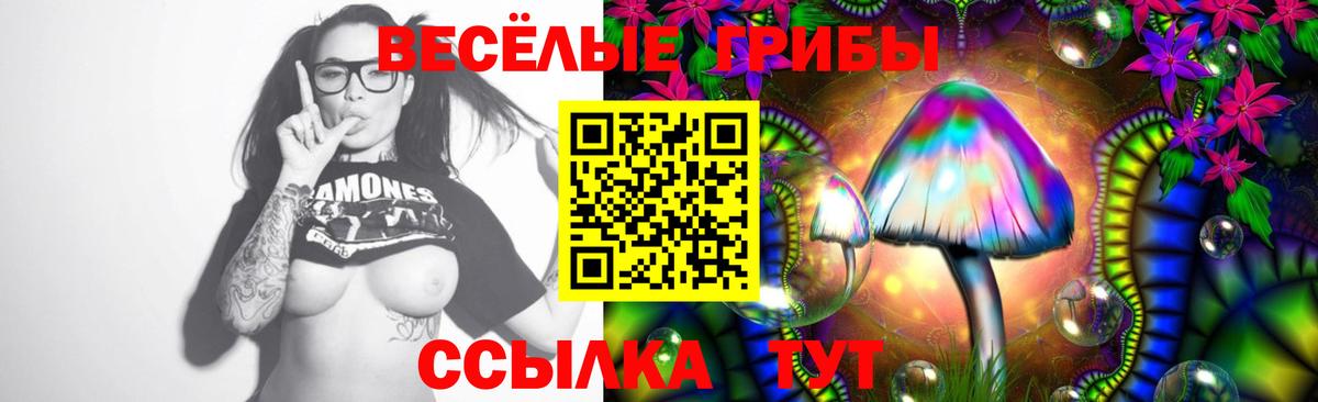 Псилоцибиновые грибы Psilocybine cubensis  Вход с VPN  Псилоцибиновые грибы GOLDEN TEACHER  Мариинск 